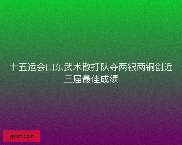 十五运会山东武术散打队夺两银两铜创近三届最佳成绩